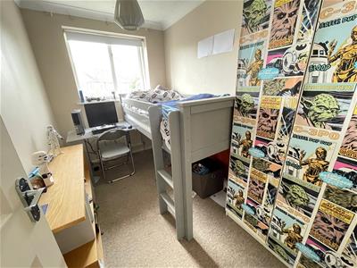 Picture 7
